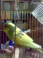 300720102538.webp
