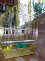 300720102524.webp
