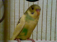 040820102569.webp