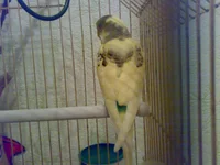 040820102579.webp