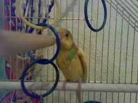 040820102583.webp