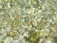 DSCF0978.webp