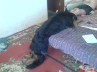 DSC03309.webp