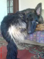 DSC03312.webp