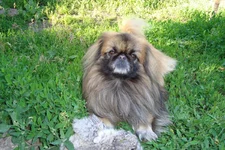 DSC00587.jpg