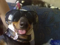 07082010072.jpg