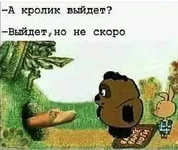 .webp