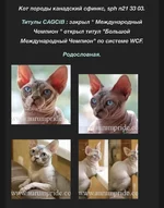 157B210F-F8E5-434E-BA79-5A0AD68930FD.webp