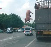 FHpDWozWQAAobf8.webp