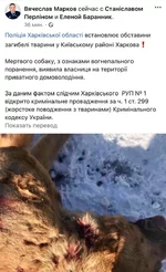 2022-02-02 11.38.54.webp