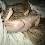 64908E86-0C94-47DA-9617-1E18EFCCD61B.webp
