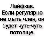 IMG_0527.webp
