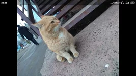 Screenshot_2022-02-16-23-38-55-519_com.miui.gallery.webp
