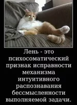 len.webp