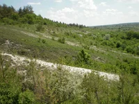 389.webp