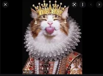 001.webp