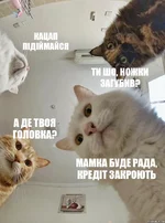 risovach.ru (1).webp