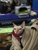 IMG-20220301-WA0006.webp