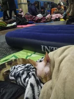 IMG-20220301-WA0005.webp