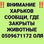 FB_IMG_1648492276588.webp