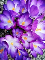 FB_IMG_1647364649777.webp
