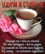 FB_IMG_1647324702277.webp