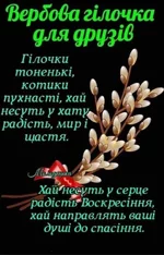 FB_IMG_1650176112248.webp