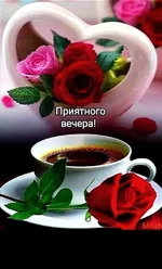 FB_IMG_1646934149659.webp
