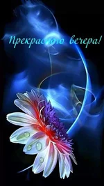 FB_IMG_1650381448675.webp