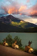 FB_IMG_1650469362903.webp