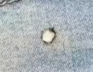 2022-04-23 23.52.23.jpg.webp