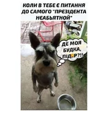 .webp