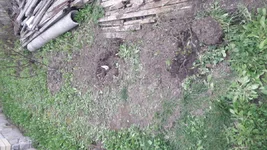 20220423_180834.webp