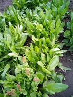IMG_20220427_182723.webp