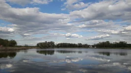 20220428_171143.jpg