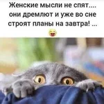 FB_IMG_1651250530389.webp