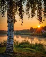 FB_IMG_1651255521749.webp