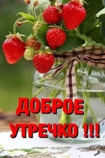FB_IMG_1651291799006.webp