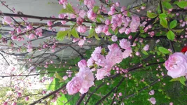 20220501_102440.webp