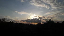 20220502_060656.webp