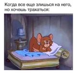 FB_IMG_1651683268641.jpg