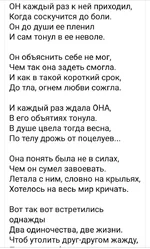 FB_IMG_1651684228494.webp