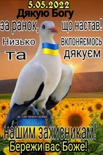 FB_IMG_1651718755710.webp