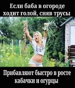 FB_IMG_1651720034841.webp