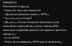555.webp