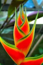 FB_IMG_1652155226242.webp
