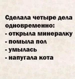 FB_IMG_1652204698635.webp