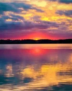 FB_IMG_1652292679902.webp