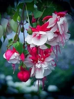 FB_IMG_1652373661188.webp