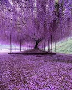 FB_IMG_1652725039494.webp